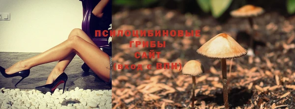прущие крисы Аркадак