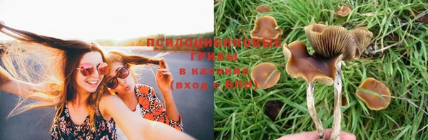 молекула духа Алзамай