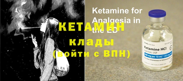 индика Алексин