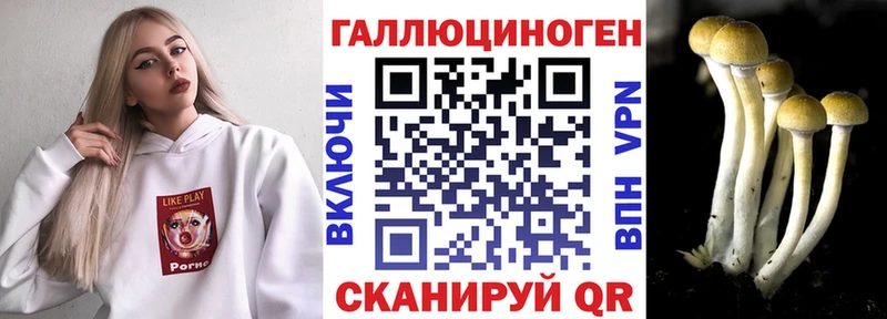 Псилоцибиновые грибы MAGIC MUSHROOMS  Купить где  Сосенский 